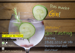 20_02-28 Plakat Gin-Tasting mI